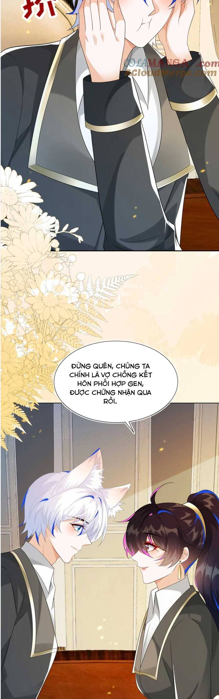 Vừa Mới Huỷ Hôn Đã Bị Dã Hồ Ly Lừa Kết Hôn Chapter 51 - 11