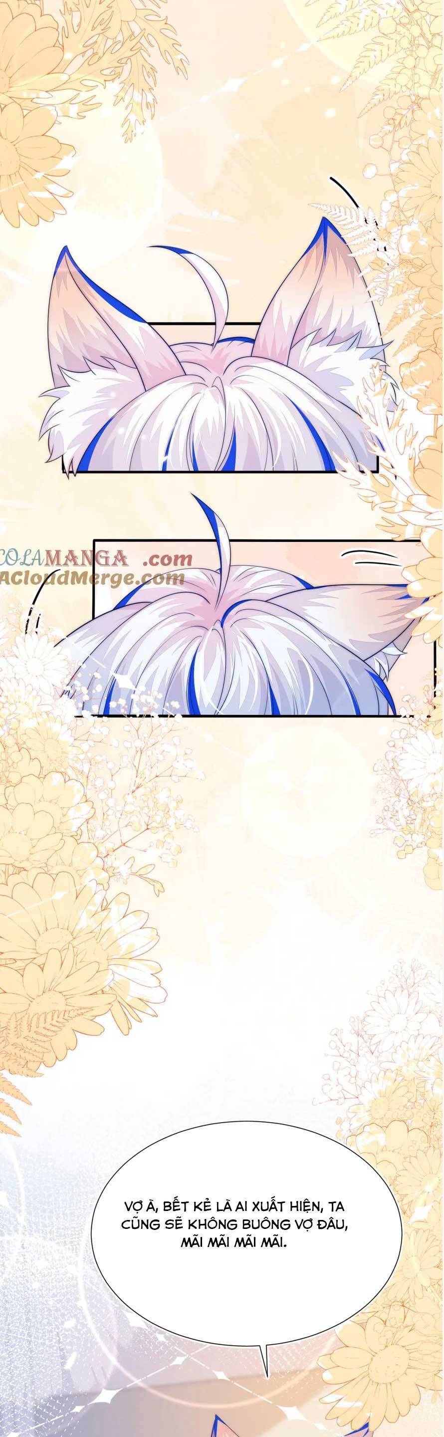 Vừa Mới Huỷ Hôn Đã Bị Dã Hồ Ly Lừa Kết Hôn Chapter 52 - 41