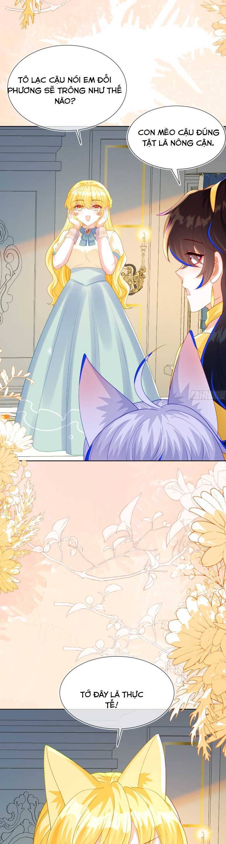 Vừa Mới Huỷ Hôn Đã Bị Dã Hồ Ly Lừa Kết Hôn Chapter 54 - 19
