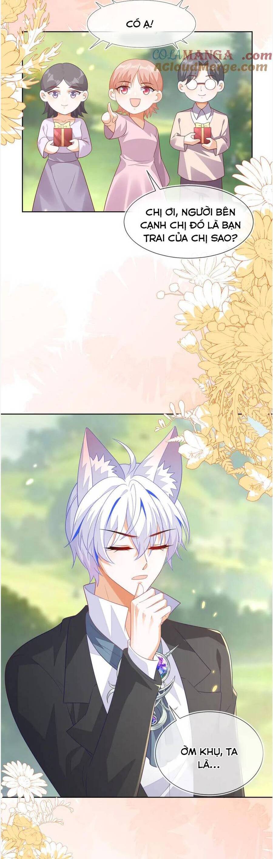 Vừa Mới Huỷ Hôn Đã Bị Dã Hồ Ly Lừa Kết Hôn Chapter 56 - 13