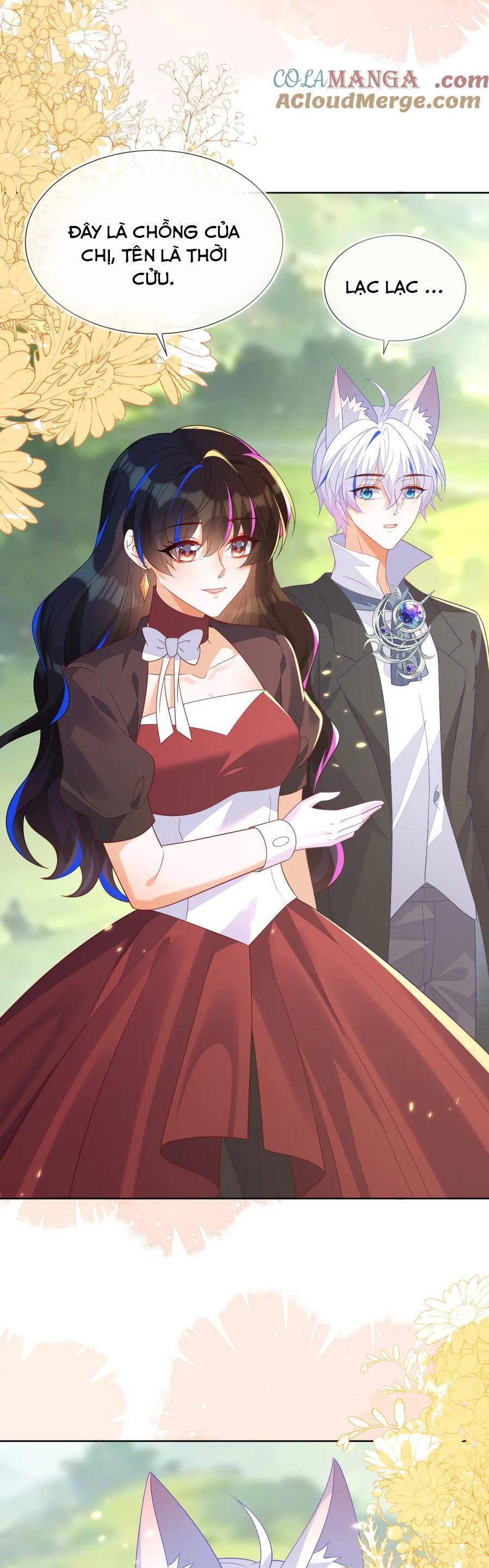 Vừa Mới Huỷ Hôn Đã Bị Dã Hồ Ly Lừa Kết Hôn Chapter 56 - 14