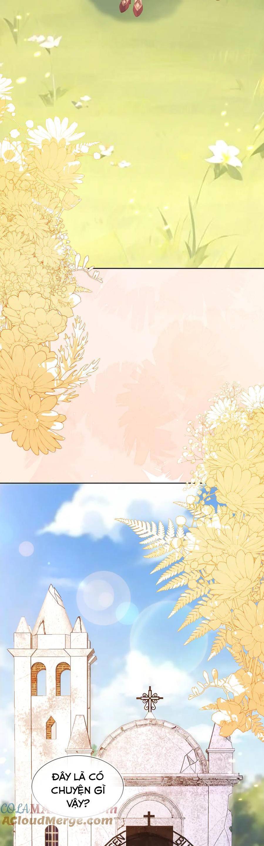 Vừa Mới Huỷ Hôn Đã Bị Dã Hồ Ly Lừa Kết Hôn Chapter 56 - 17