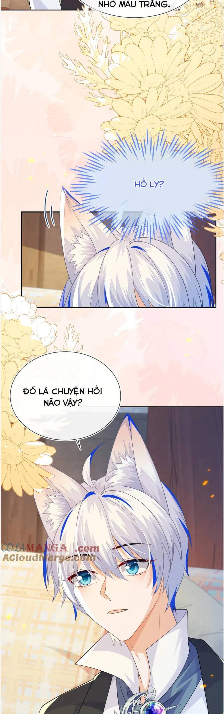 Vừa Mới Huỷ Hôn Đã Bị Dã Hồ Ly Lừa Kết Hôn Chapter 56 - 25