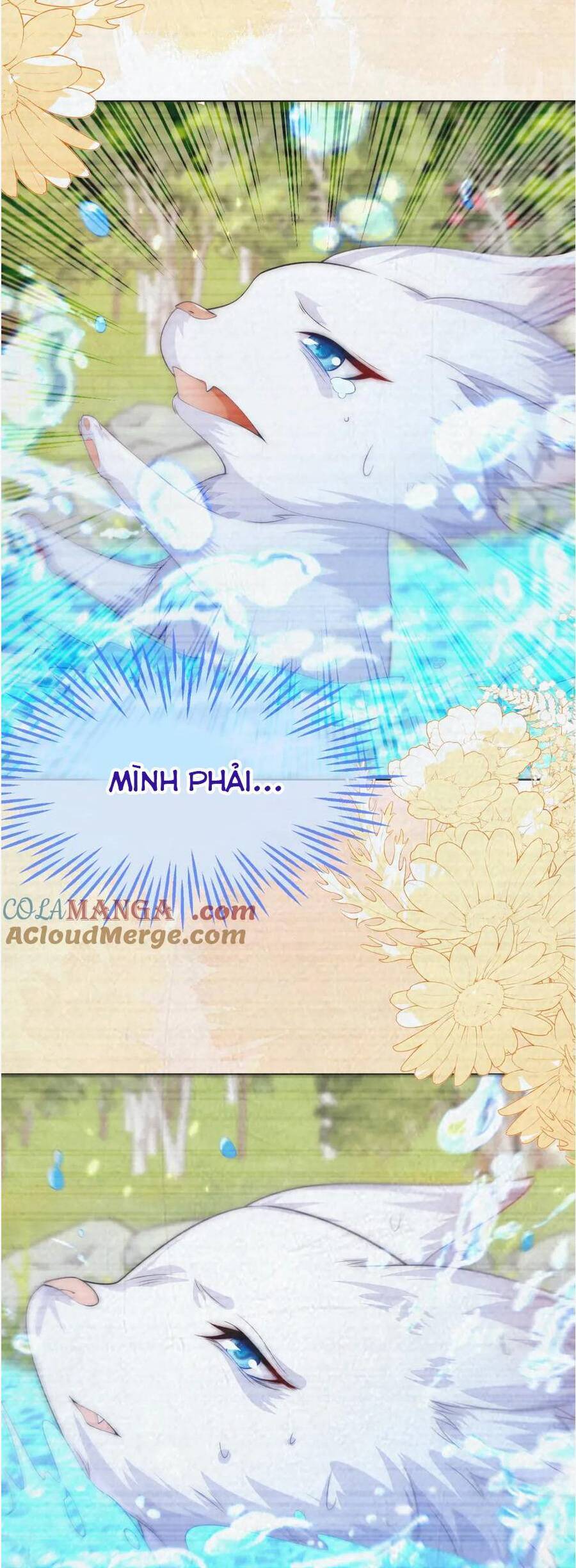 Vừa Mới Huỷ Hôn Đã Bị Dã Hồ Ly Lừa Kết Hôn Chapter 56 - 35