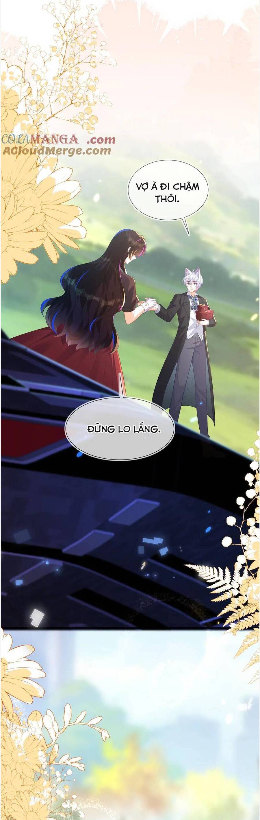 Vừa Mới Huỷ Hôn Đã Bị Dã Hồ Ly Lừa Kết Hôn Chapter 56 - 5