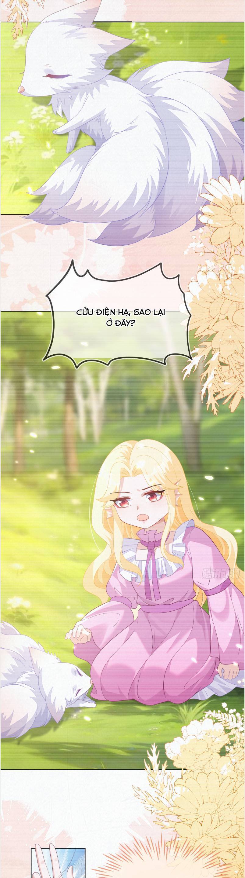 Vừa Mới Huỷ Hôn Đã Bị Dã Hồ Ly Lừa Kết Hôn Chapter 57 - 12