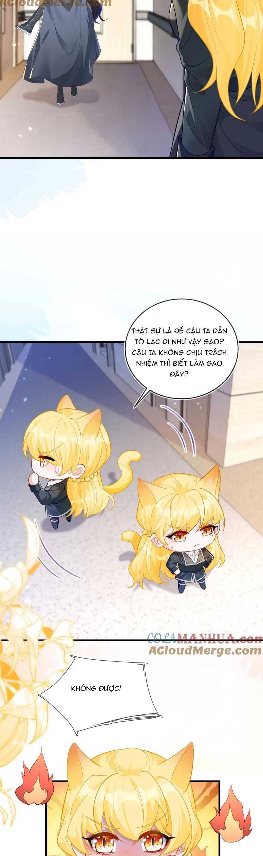 Vừa Mới Huỷ Hôn Đã Bị Dã Hồ Ly Lừa Kết Hôn Chapter 20 - 12