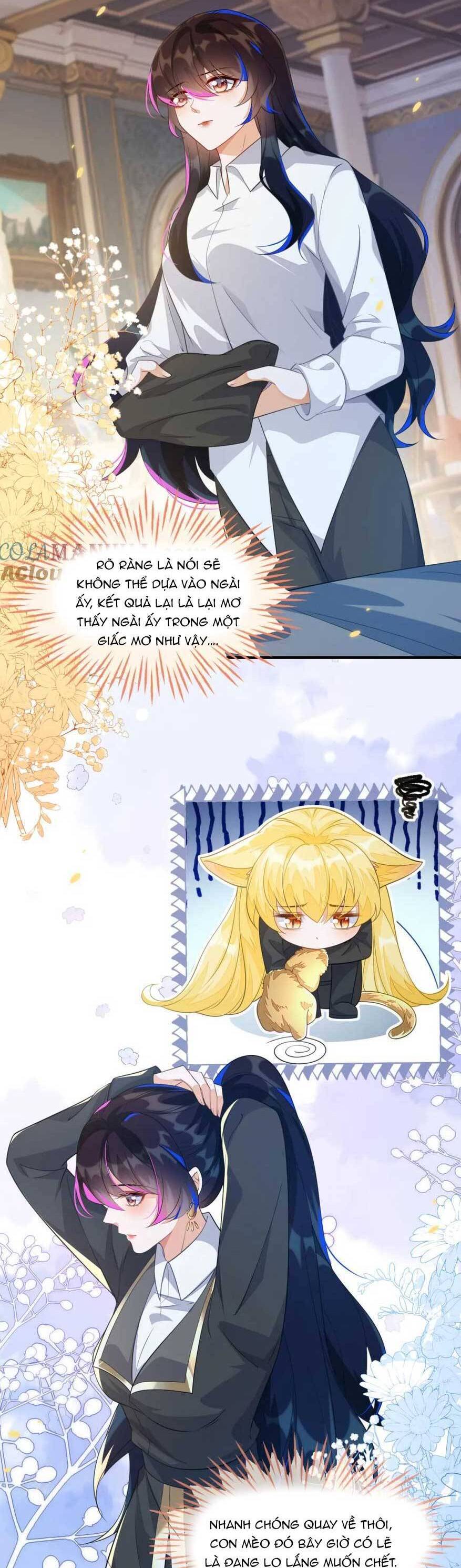 Vừa Mới Huỷ Hôn Đã Bị Dã Hồ Ly Lừa Kết Hôn Chapter 20 - 28