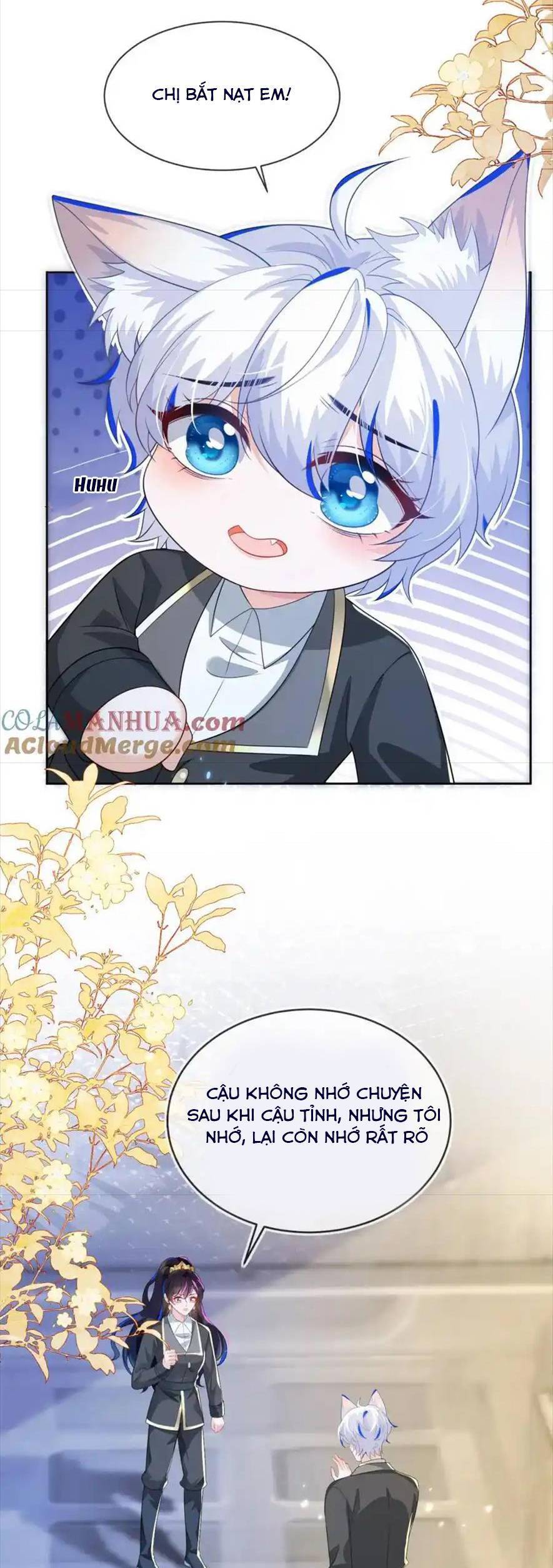 Vừa Mới Huỷ Hôn Đã Bị Dã Hồ Ly Lừa Kết Hôn Chapter 25 - 16