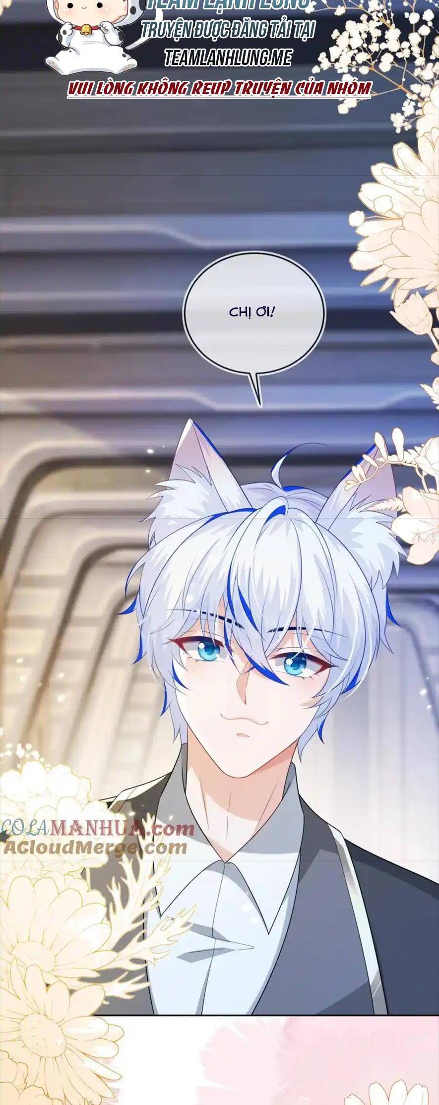Vừa Mới Huỷ Hôn Đã Bị Dã Hồ Ly Lừa Kết Hôn Chapter 25 - 6