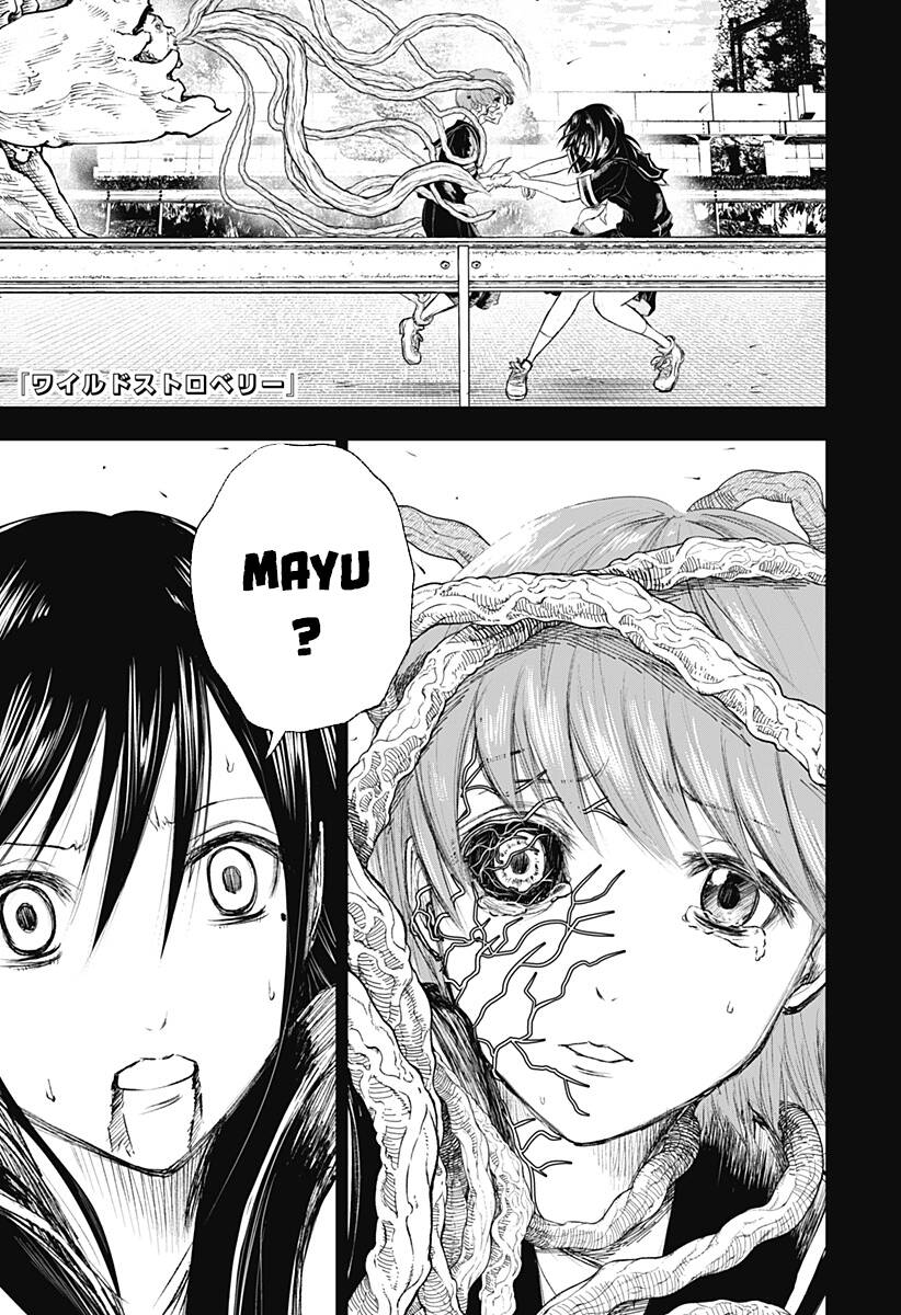 Wild Strawberry Chapter 10 - 1