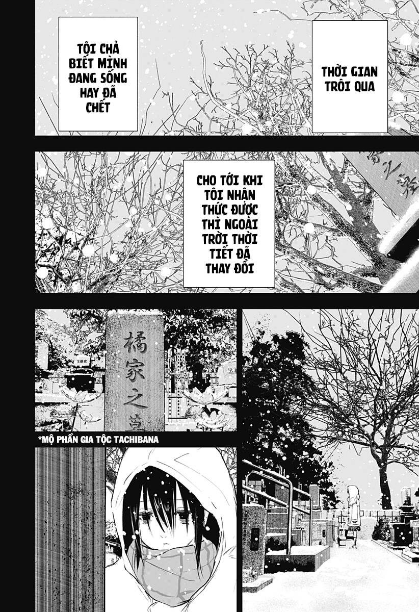 Wild Strawberry Chapter 10 - 13