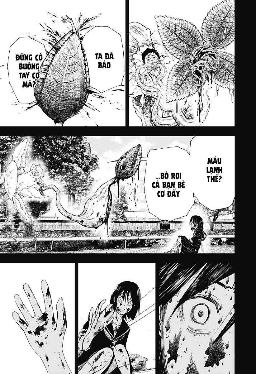 Wild Strawberry Chapter 10 - 10