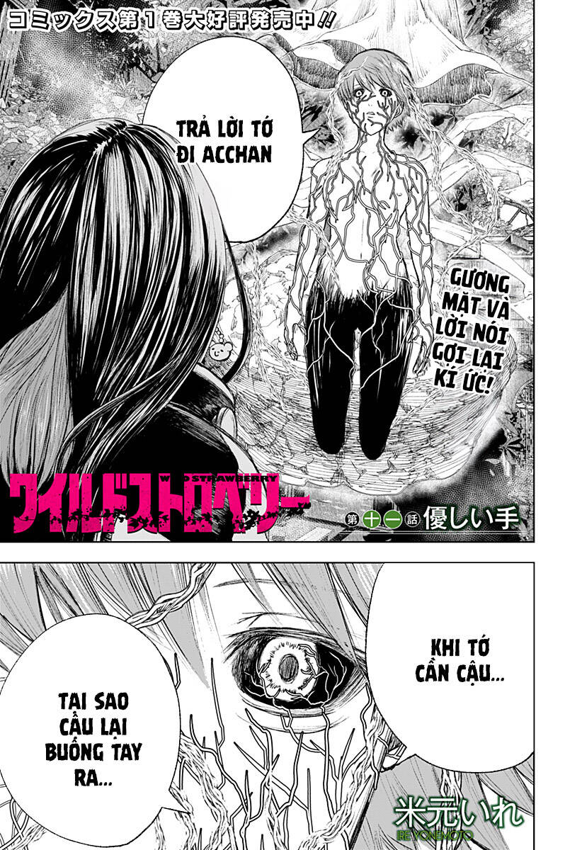 Wild Strawberry Chapter 11 - 1