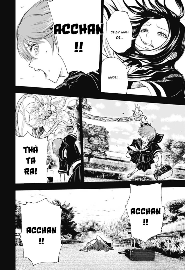 Wild Strawberry Chapter 9 - 22