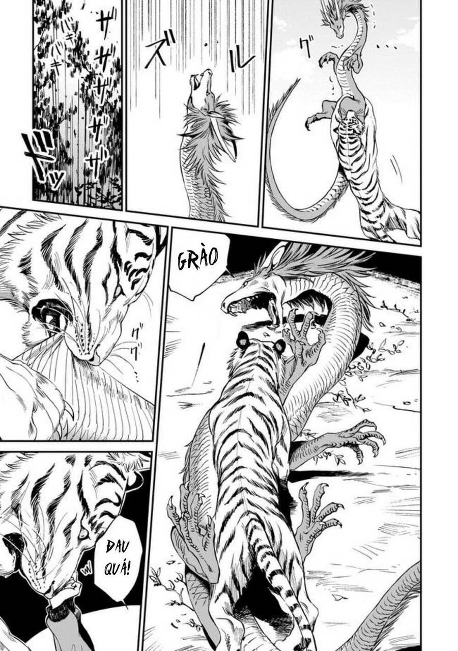 Hổ Vẫn Chưa Muốn Xơi Rồng Chapter 1 - 12