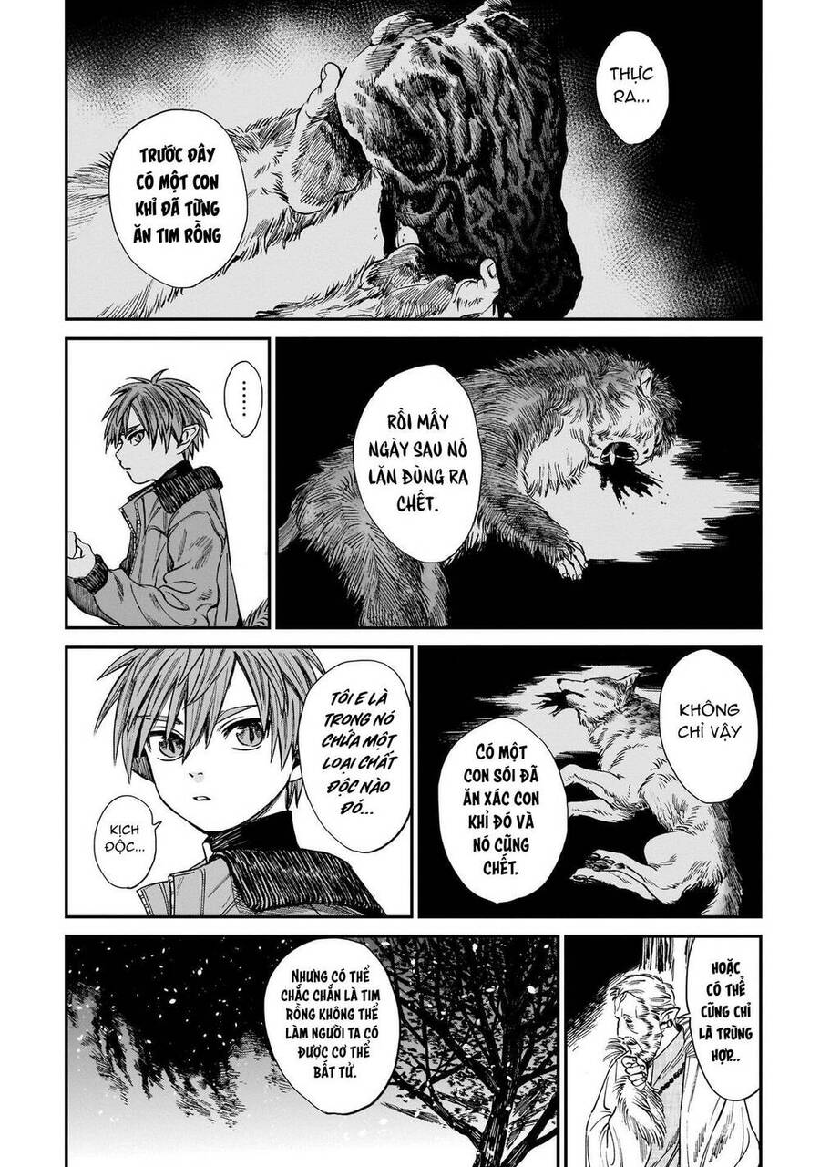 Hổ Vẫn Chưa Muốn Xơi Rồng Chapter 11 - 11