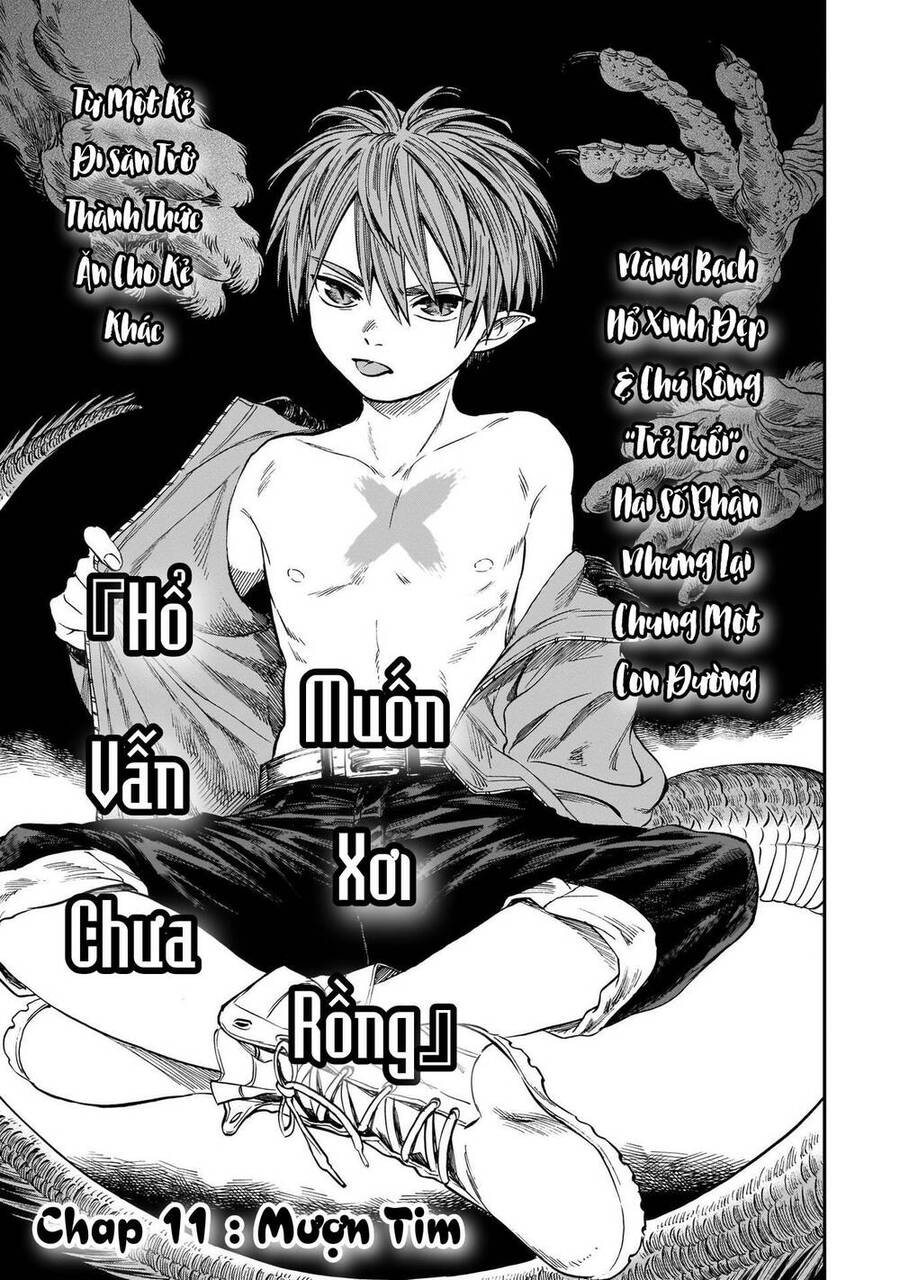 Hổ Vẫn Chưa Muốn Xơi Rồng Chapter 11 - 4