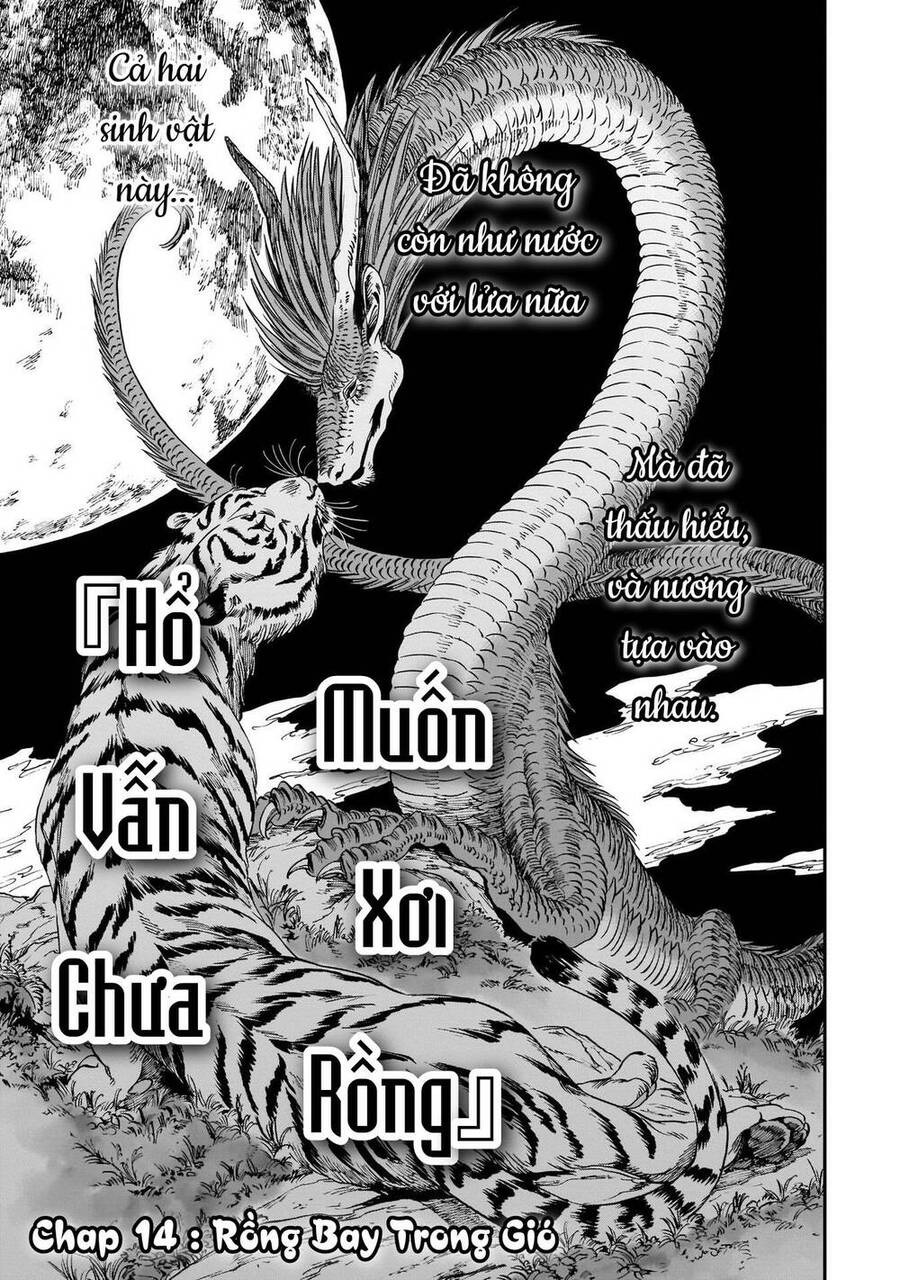 Hổ Vẫn Chưa Muốn Xơi Rồng Chapter 14 - 5