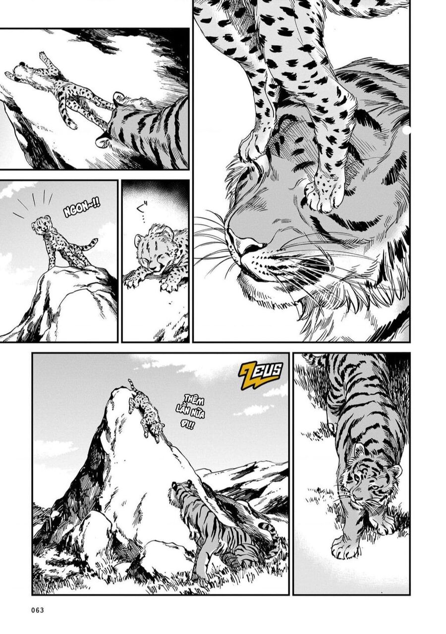 Hổ Vẫn Chưa Muốn Xơi Rồng Chapter 19 - 14