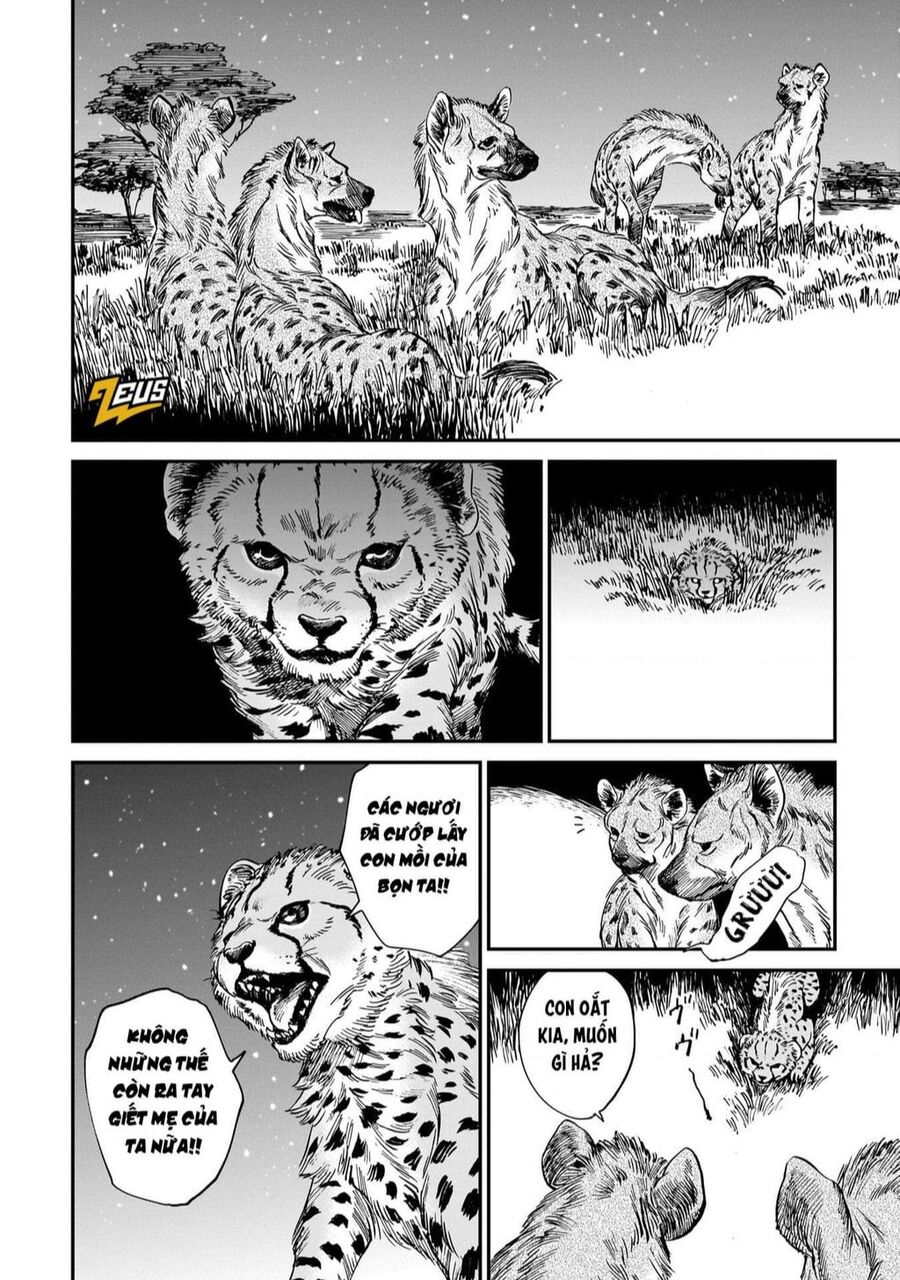Hổ Vẫn Chưa Muốn Xơi Rồng Chapter 19 - 17