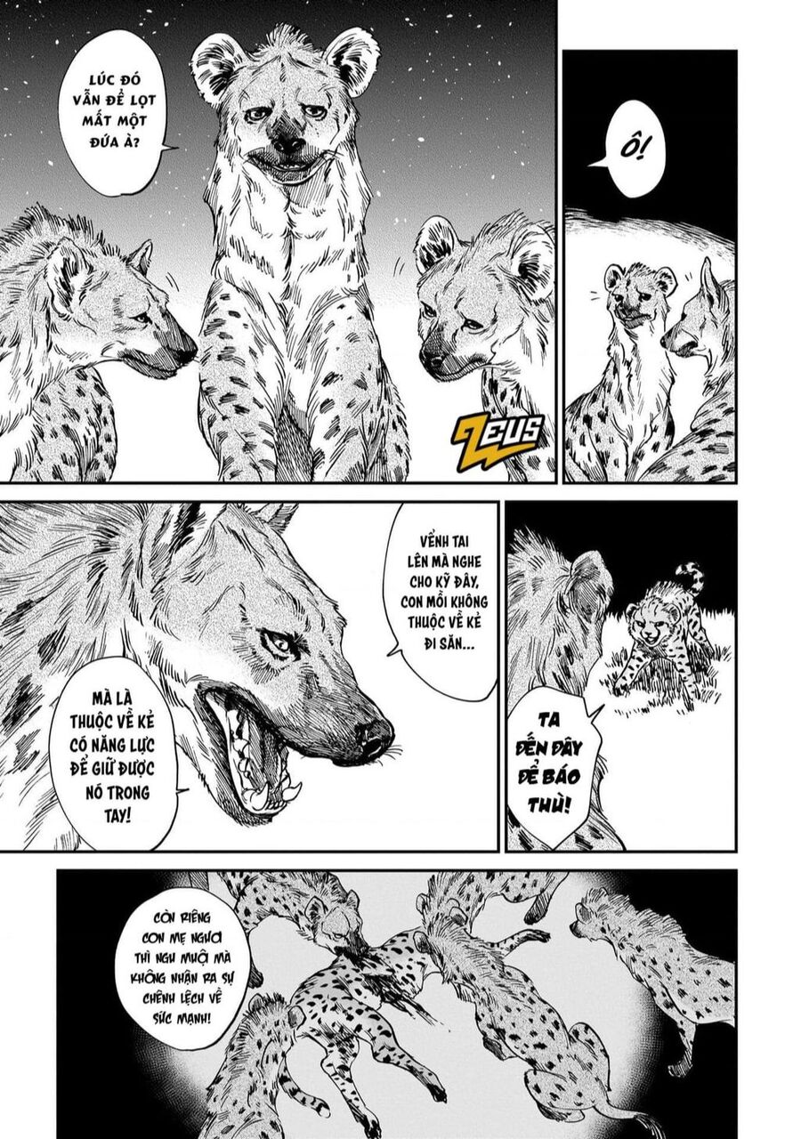 Hổ Vẫn Chưa Muốn Xơi Rồng Chapter 19 - 18