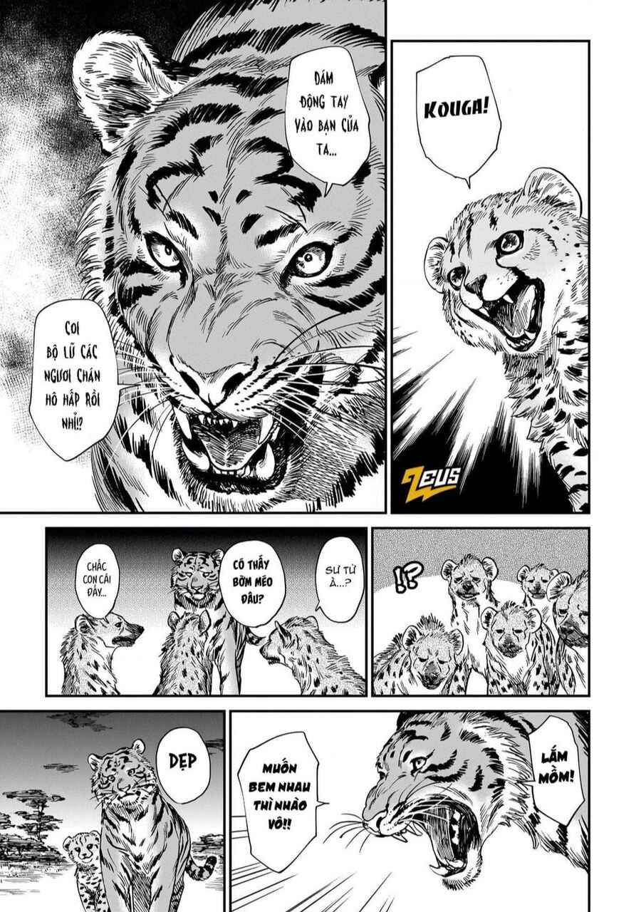 Hổ Vẫn Chưa Muốn Xơi Rồng Chapter 19 - 22