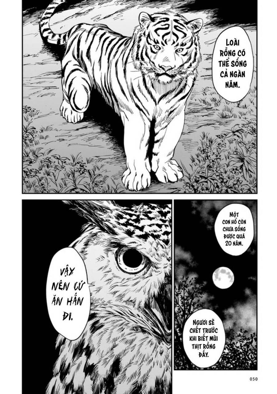 Hổ Vẫn Chưa Muốn Xơi Rồng Chapter 2 - 14