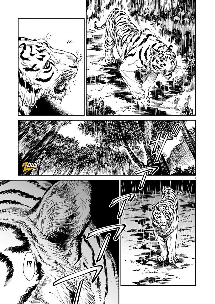 Hổ Vẫn Chưa Muốn Xơi Rồng Chapter 27 - 4