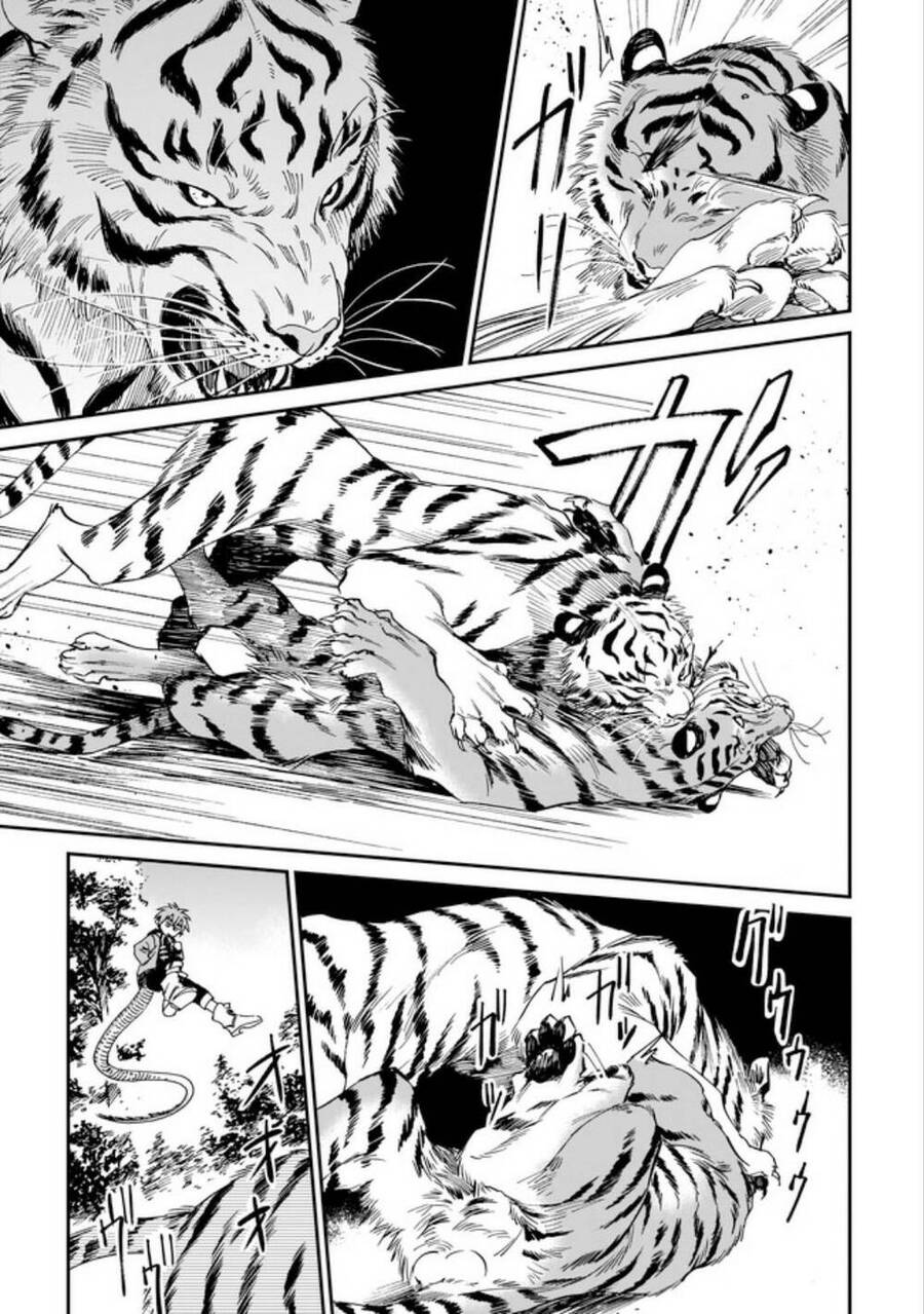Hổ Vẫn Chưa Muốn Xơi Rồng Chapter 3 - 12
