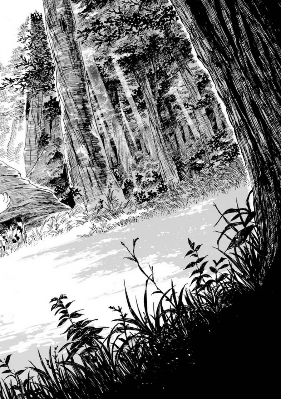 Hổ Vẫn Chưa Muốn Xơi Rồng Chapter 3 - 26
