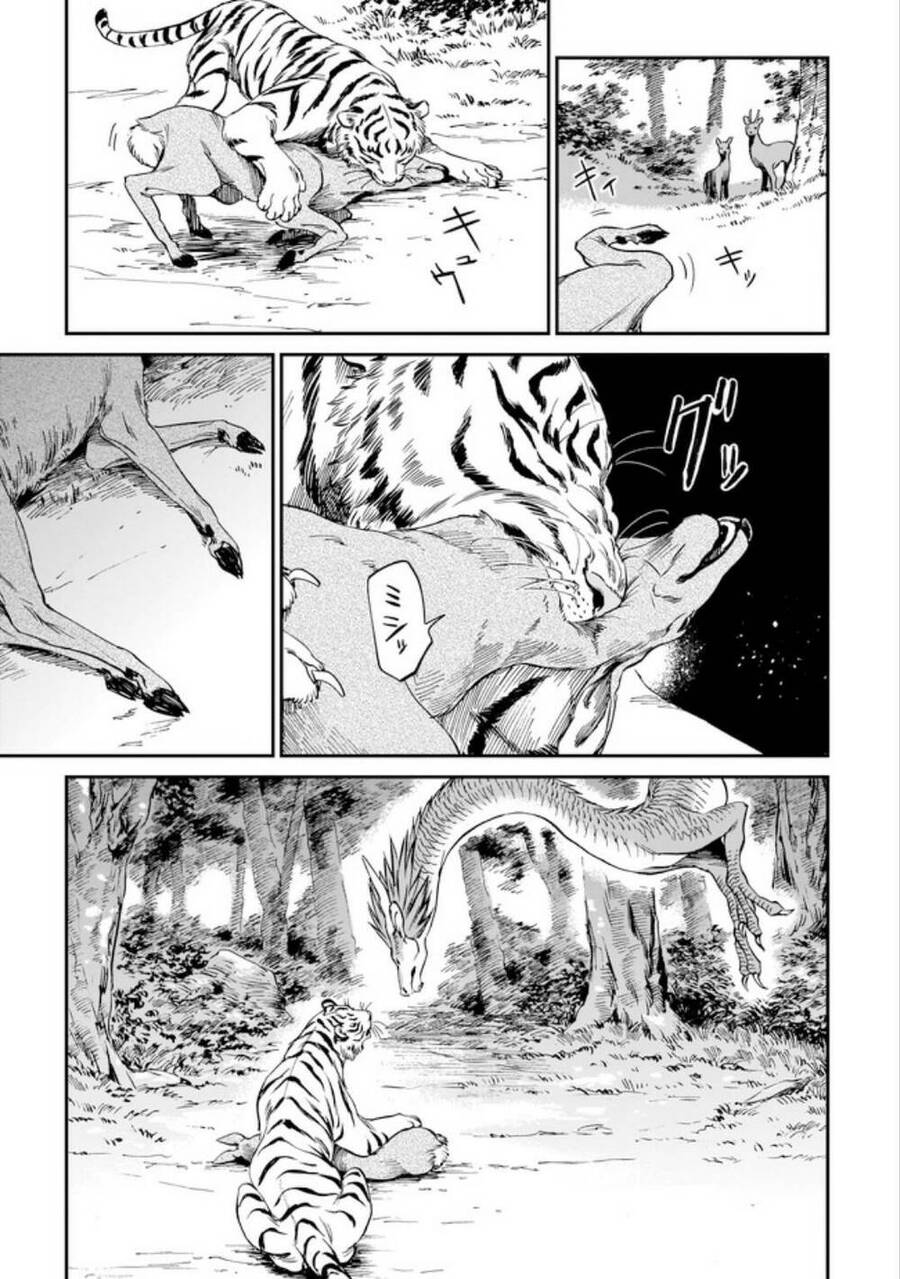 Hổ Vẫn Chưa Muốn Xơi Rồng Chapter 3 - 5