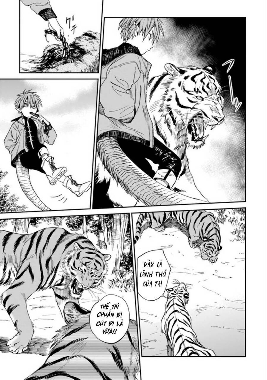 Hổ Vẫn Chưa Muốn Xơi Rồng Chapter 3 - 10
