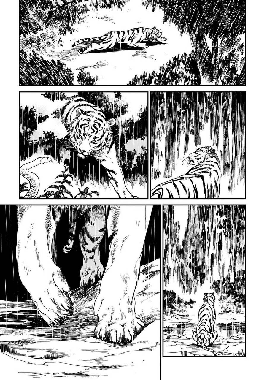 Hổ Vẫn Chưa Muốn Xơi Rồng Chapter 4 - 15