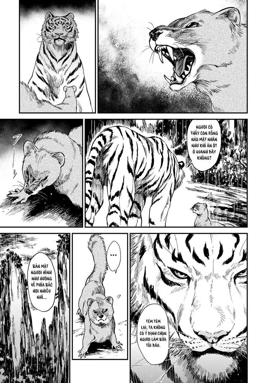 Hổ Vẫn Chưa Muốn Xơi Rồng Chapter 4 - 17