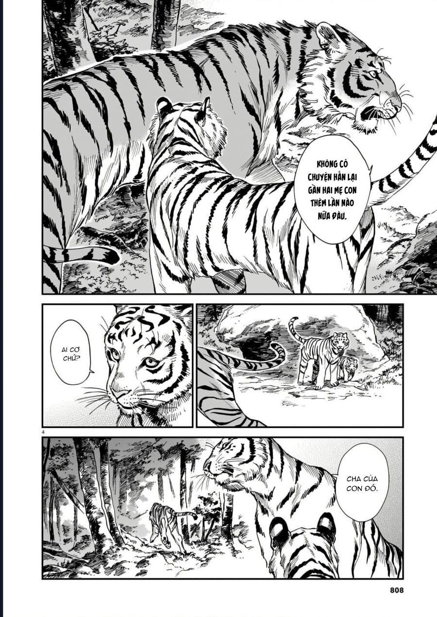 Hổ Vẫn Chưa Muốn Xơi Rồng Chapter 40.5 - 6