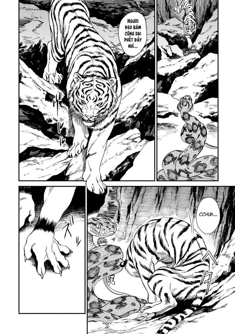 Hổ Vẫn Chưa Muốn Xơi Rồng Chapter 6 - 6