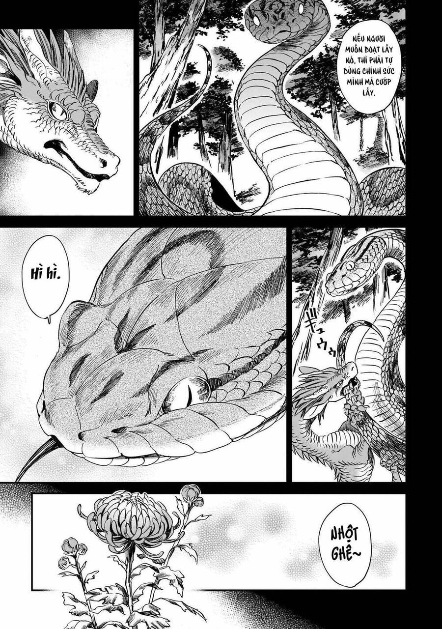 Hổ Vẫn Chưa Muốn Xơi Rồng Chapter 8 - 14