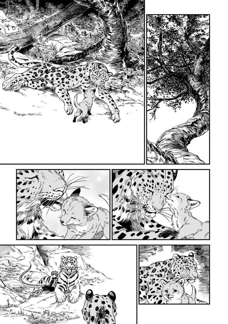 Hổ Vẫn Chưa Muốn Xơi Rồng Chapter 9 - 14