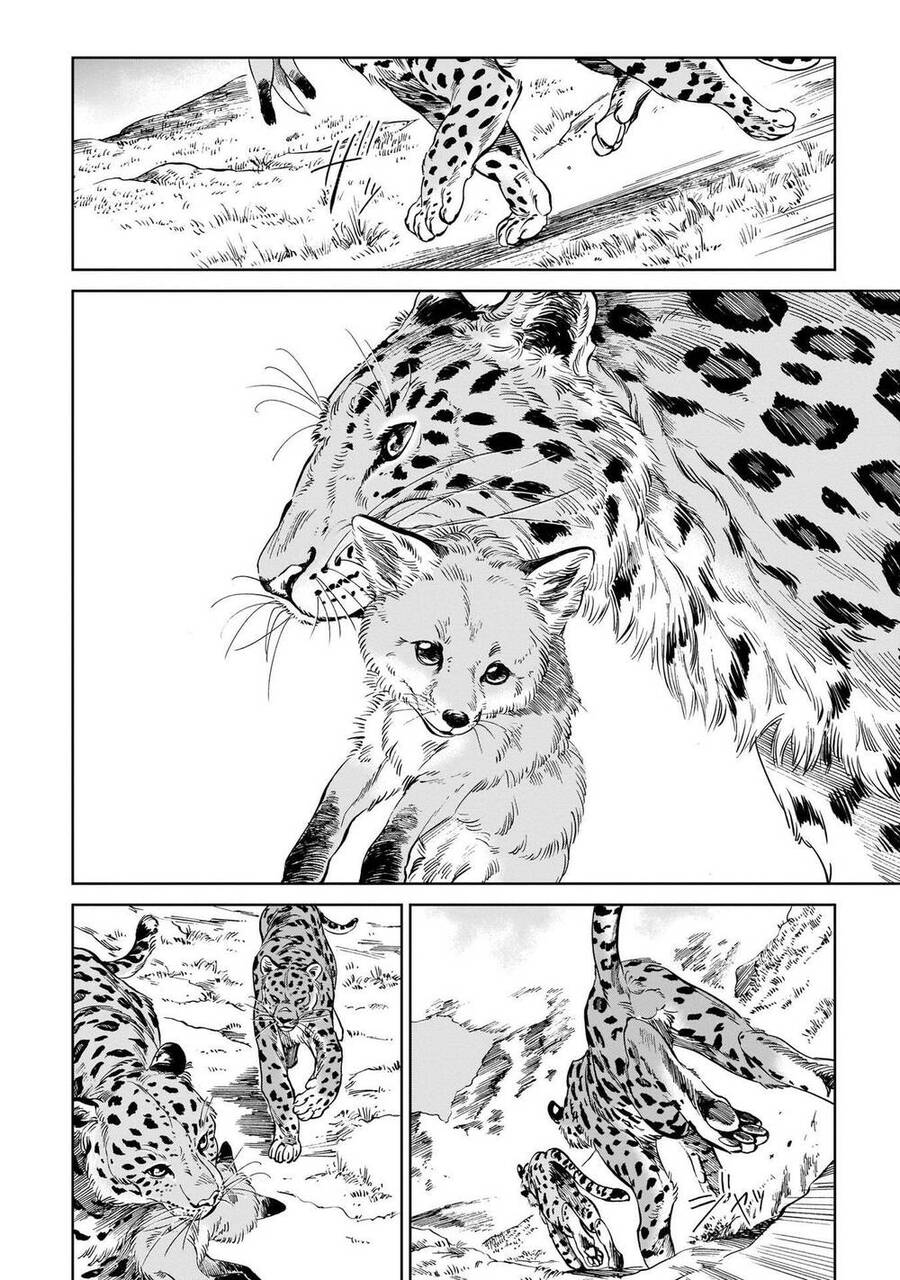 Hổ Vẫn Chưa Muốn Xơi Rồng Chapter 9 - 3