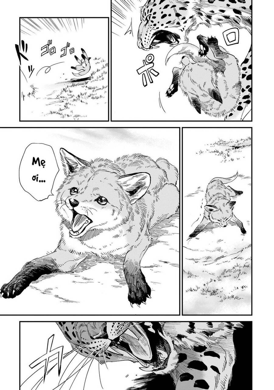 Hổ Vẫn Chưa Muốn Xơi Rồng Chapter 9 - 4