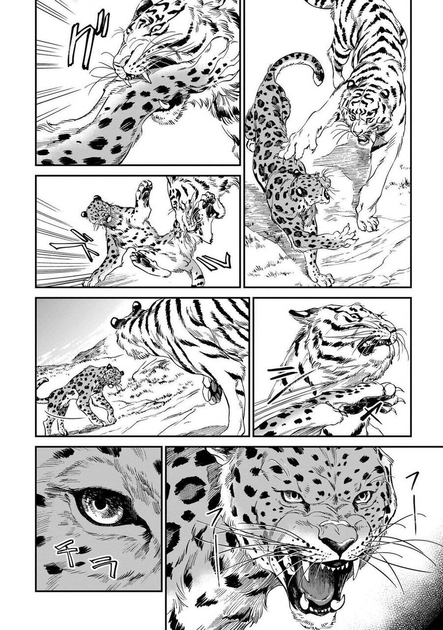 Hổ Vẫn Chưa Muốn Xơi Rồng Chapter 9 - 9