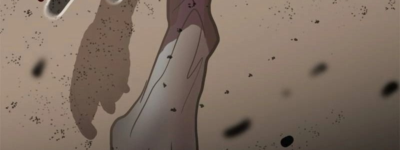 Thách Thức Chapter 130 - 327