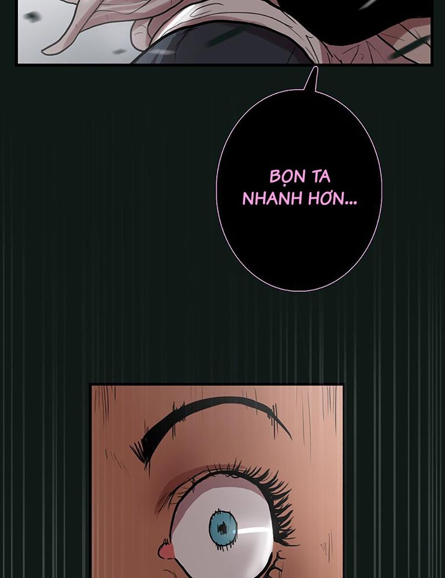 Thách Thức Chapter 25 - 48