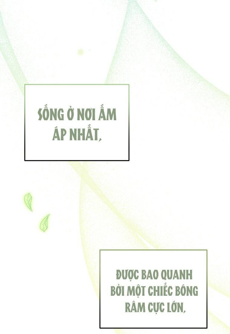 Papa Tôi Là Bạo Chúa Ác Ma Chapter 9 - 52