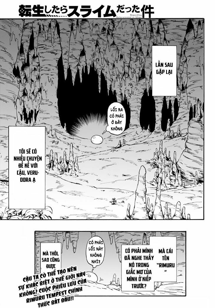 Lúc Đó, Tôi Đã Chuyển Sinh Thành Slime Chapter 1 - 48