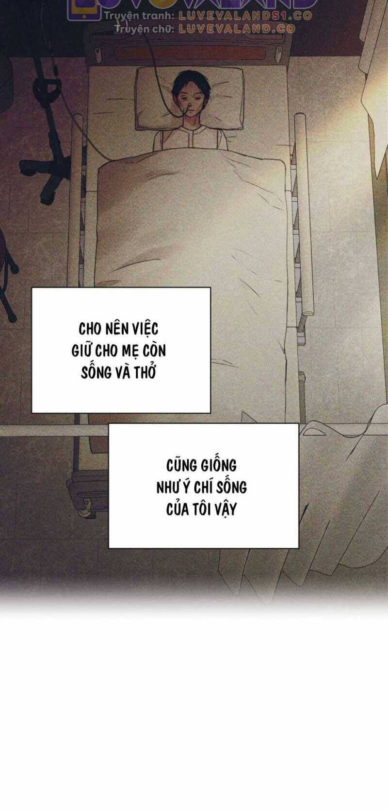 Chỉ Là Ánh Bình Minh Chapter  40 - 35