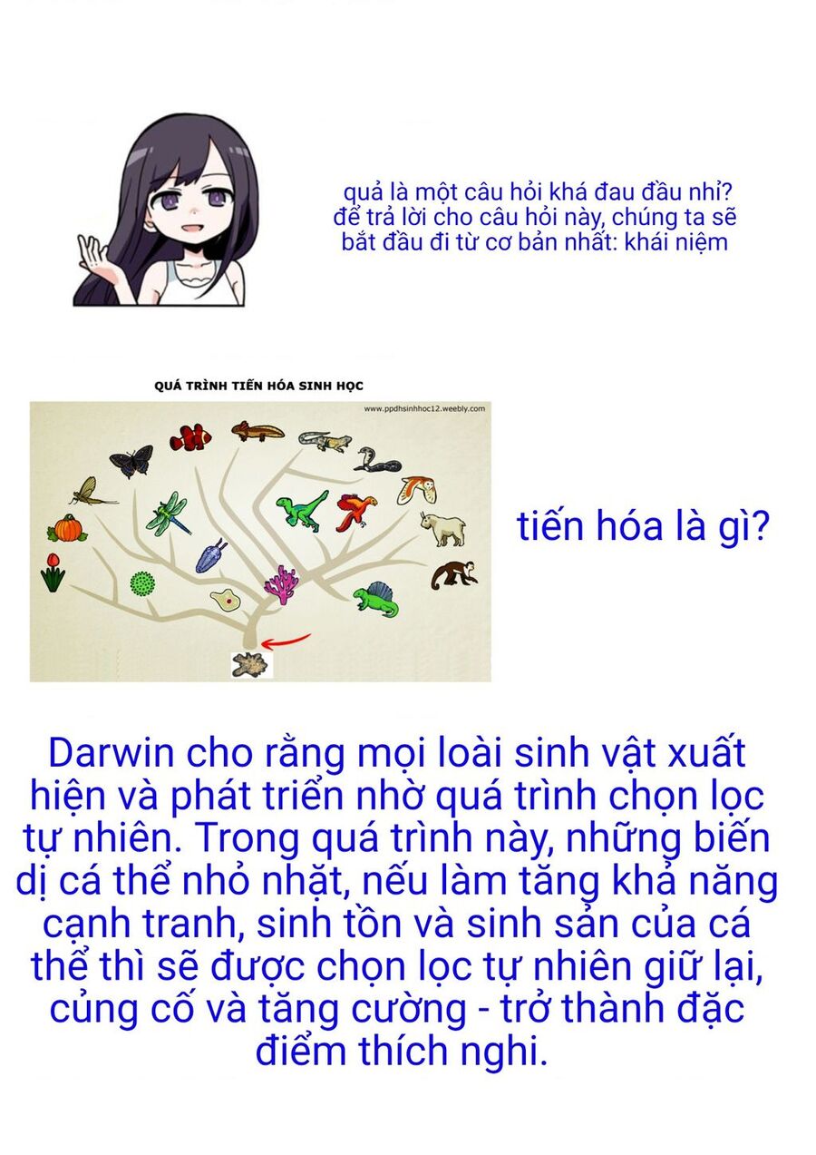 Mọi Người Đều Đến Từ Thế Giới Khác, Ngoại Trừ Tôi!? Chapter 7.5 - 5