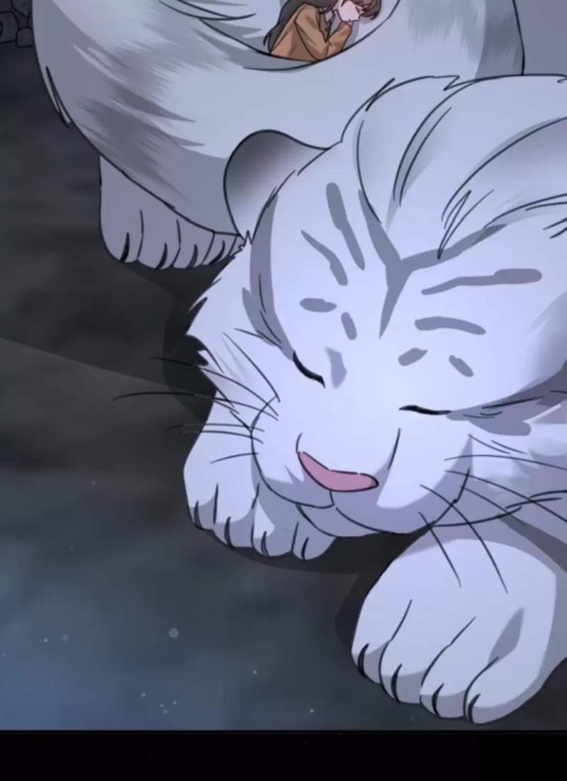 Thần Hổ Jangsan Chapter  48 - 664