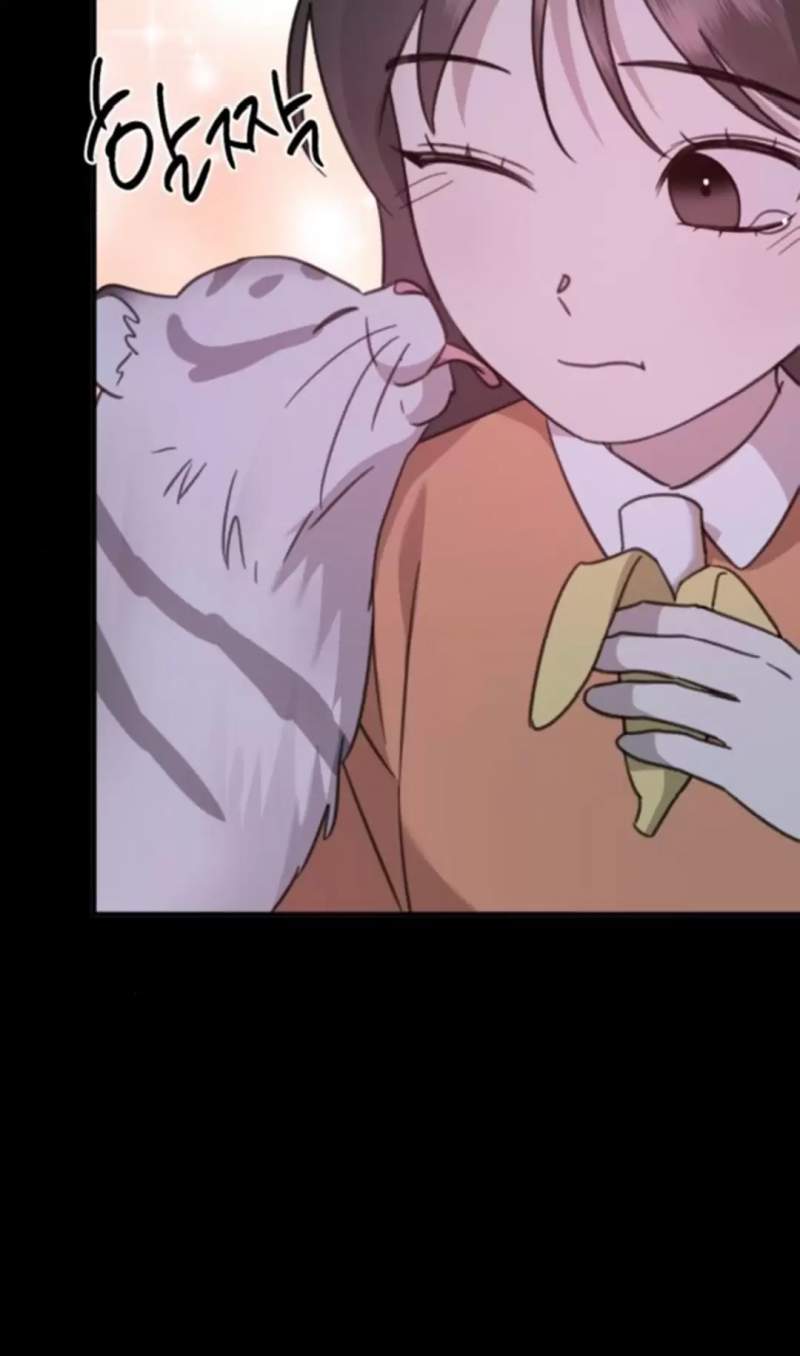 Thần Hổ Jangsan Chapter  48 - 675